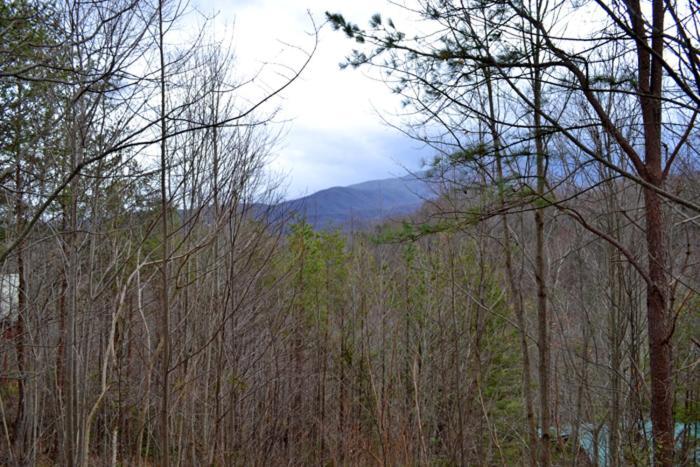 Lost In Love Gatlinburg Ngoại thất bức ảnh